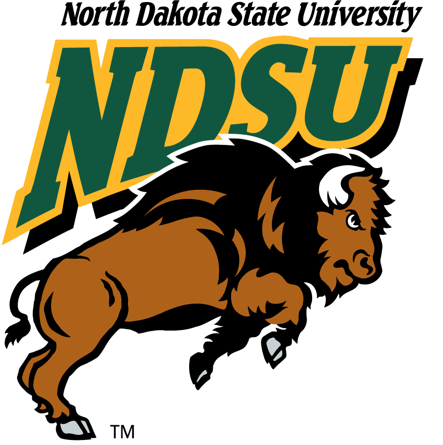North Dakota State Bison 1999-2012 Primary Logo t shirts iron on transfers